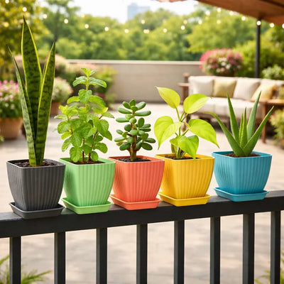Garden Equipment