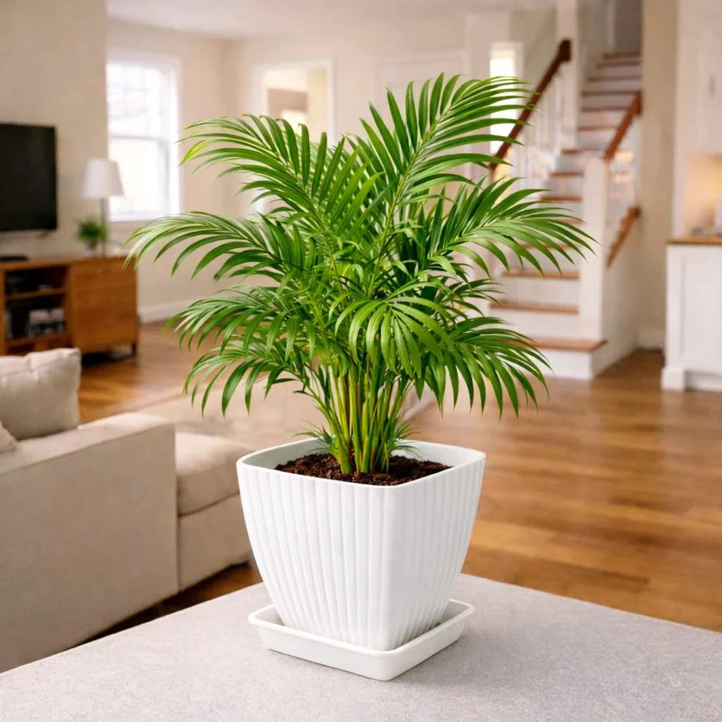 Grosyhub Modern Ribbed Square Planter Pots with Drainage Tray (5 Pcs Set)