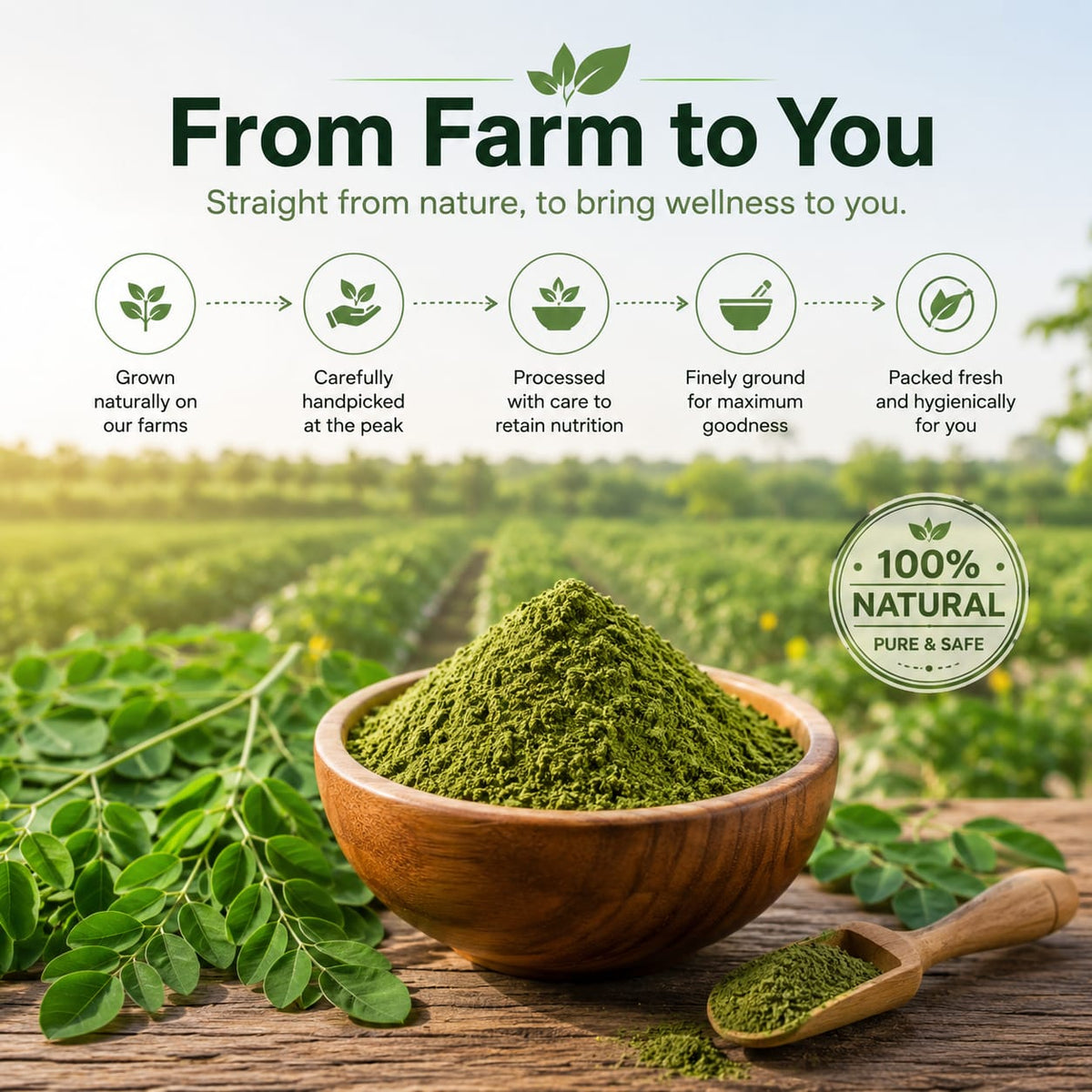 100% Natural Moringa Powder – Pure & Nutrient Rich