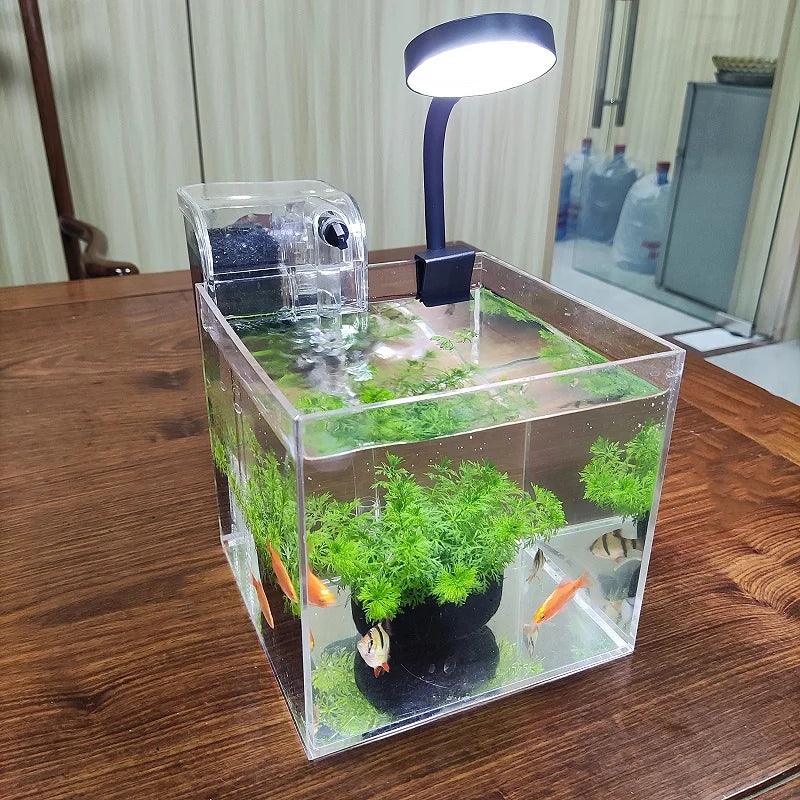 Share: Mini Acrylic Desktop Aquarium with LED Light & Filter – USB Powered Fish Tank